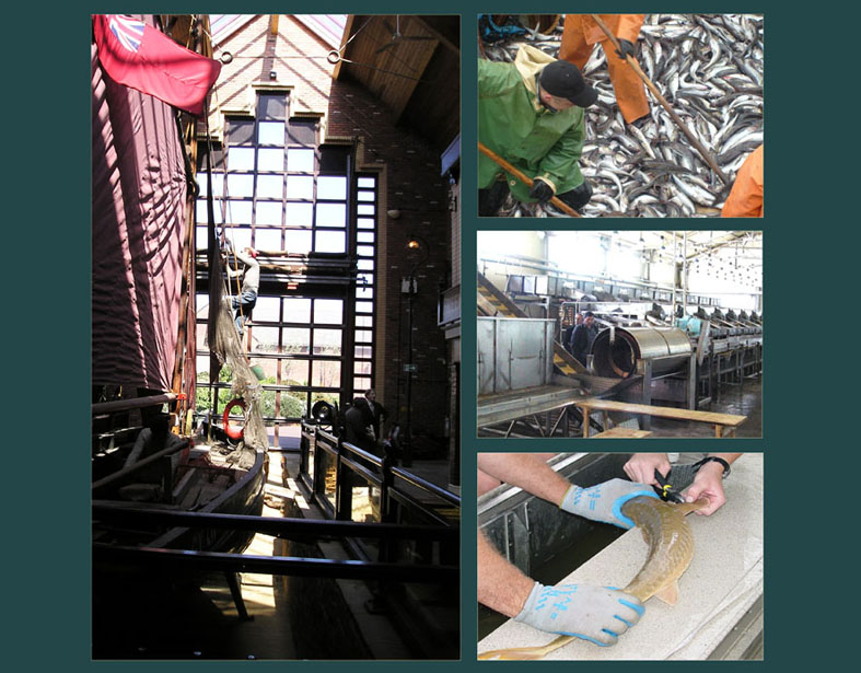 Working Museum